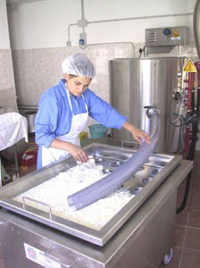 cheese production line