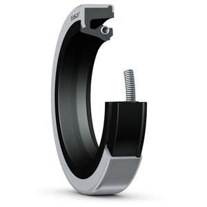 lip seal 1