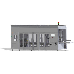 top-loading case packer