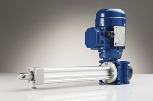 cylinder with piston rod