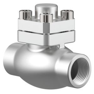 cryogenic check valve 1