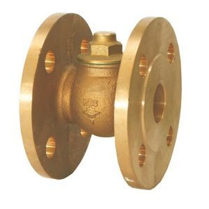 piston check valve 1
