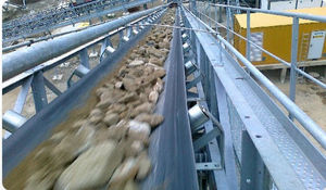 belt conveyor