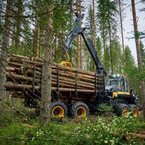forestry forwarder 1