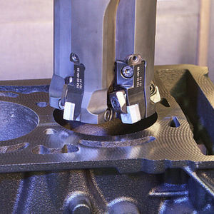 boring tool with fixed insert