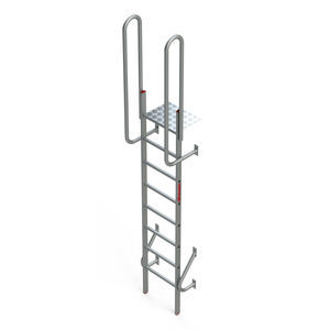 aluminum ladder