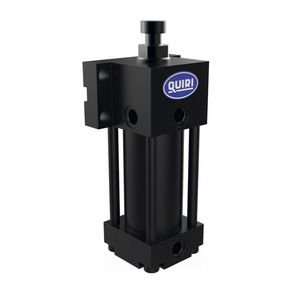 hydraulic cylinder
