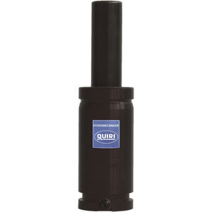 stainless steel gas spring 1