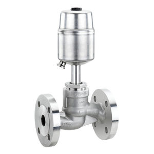 globe valve