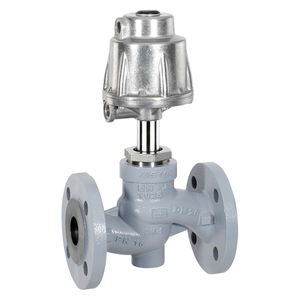 globe valve