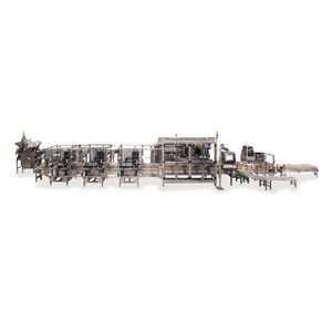 automatic filler and capper