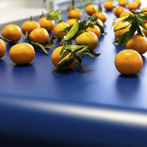 食品行业输送带