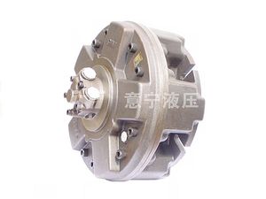 radial piston hydraulic motor