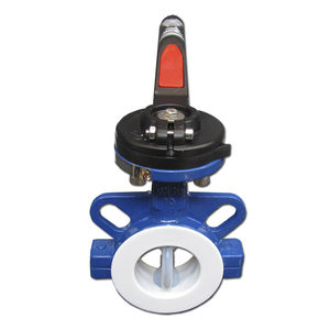 carbon steel valve