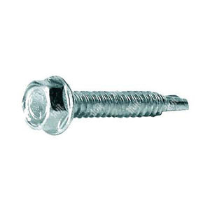 screw with hexagonal head