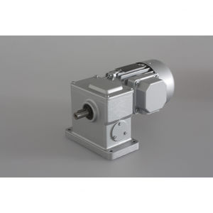 worm gear-motor 1