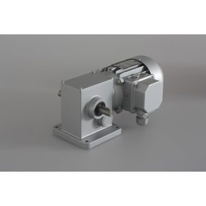 DC gear-motor 1