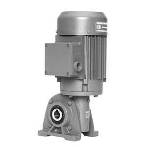 DC gear-motor 1