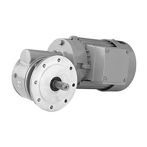 DC gear-motor 1