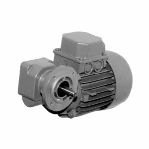 DC gear-motor 1