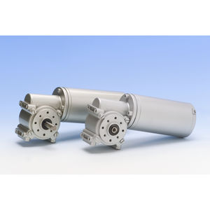 worm gear-motor 1