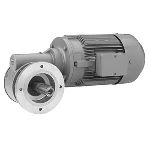 DC gear-motor