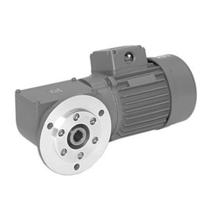 DC gear-motor 1