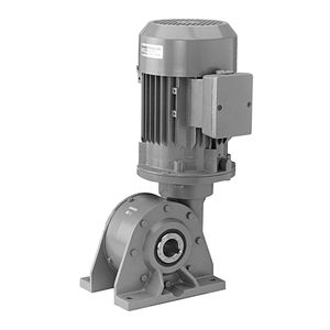 three-phase gear-motor 1