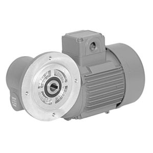 DC gear-motor 1