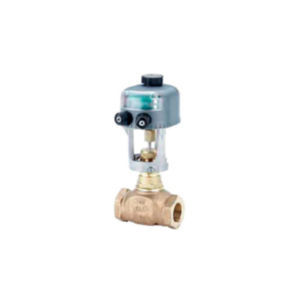 globe valve