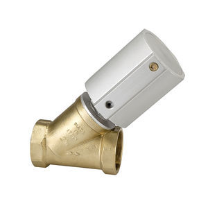 globe valve 1