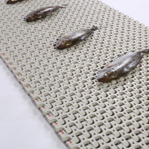 flexible conveyor belt