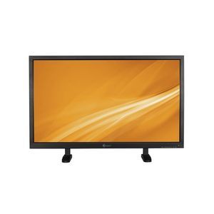 LCD monitor