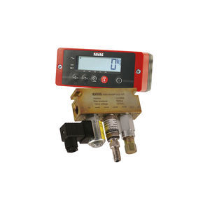 automatic weighing system 1