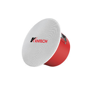 ceiling loudspeaker 1