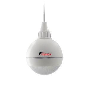 ceiling loudspeaker 1