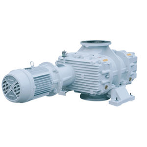 Roots vacuum pump