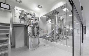 high-shear granulator