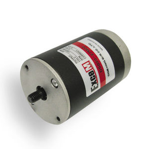 direct current motor / synchronous / 110 V / for massage equipment