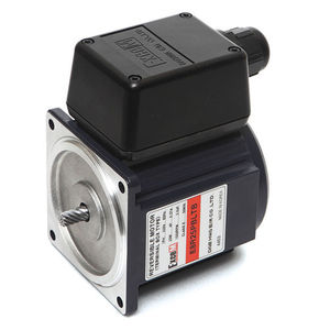 reversible motor