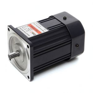 reversible motor / single-phase / synchronous / 100 V