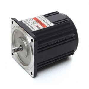 reversible motor / single-phase / synchronous / 100 V