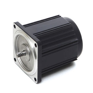 motor with speed controller