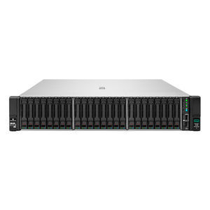 RAID server 1