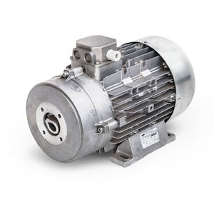 asynchronous motor 1