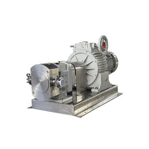 rotary lobe pump