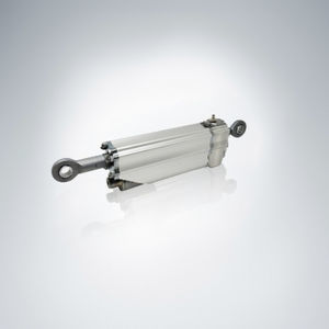 hydraulic cylinder 1