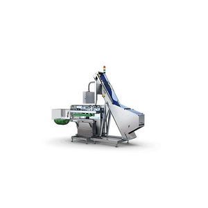 in-line capping machine