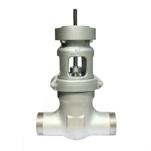 gate valve