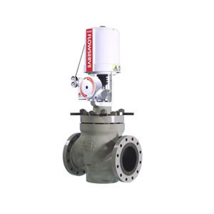 globe valve